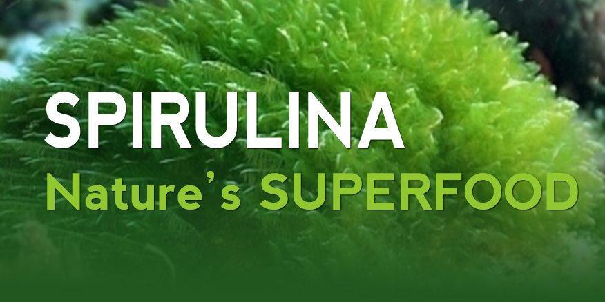 Spirulina planta minunilor