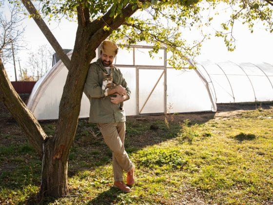 Cum să cultivi fasolea cu succes în solar