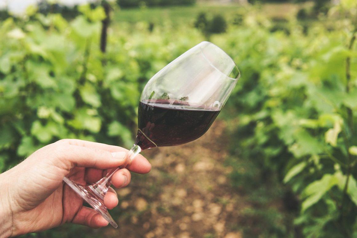 Care sunt cele mai populare tipuri de vin roșu din România