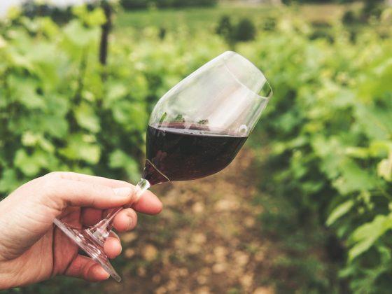 Care sunt cele mai populare tipuri de vin roșu din România