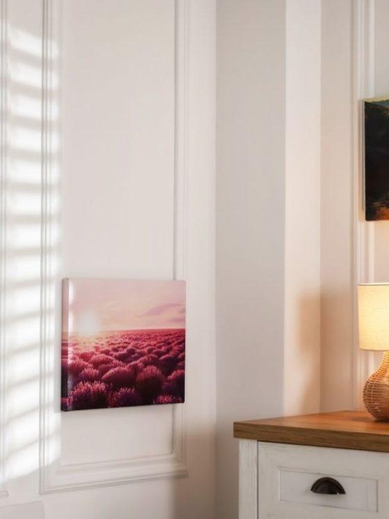 tablouri canvas dormitor