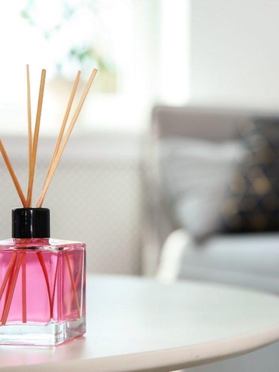 parfum camera profesional